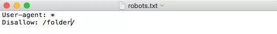 Captura de tela de um arquivo robots.txt bloqueando acesso a uma pasta