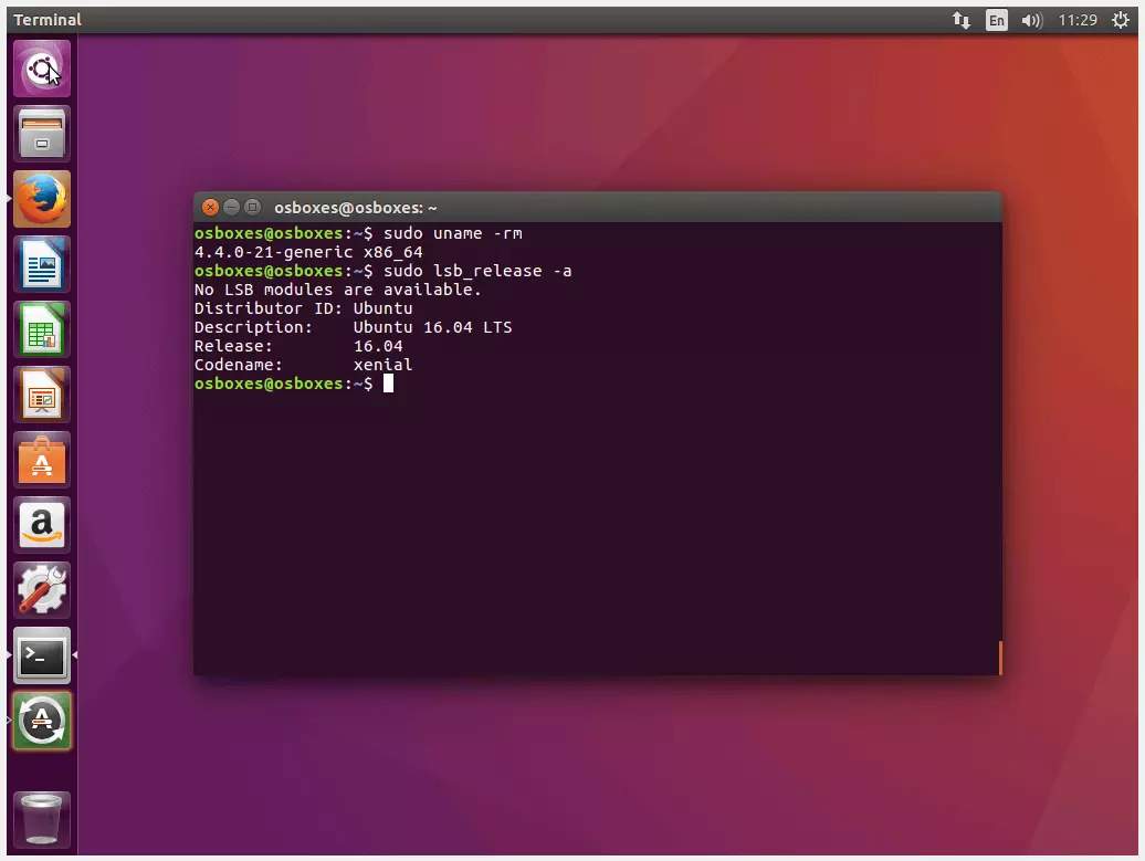 Acesso às informações do sistema Ubuntu no terminal