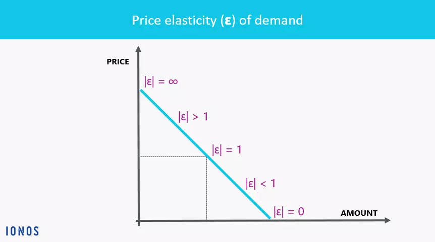 curve-showing-the-price-elasticity-of-demand.png