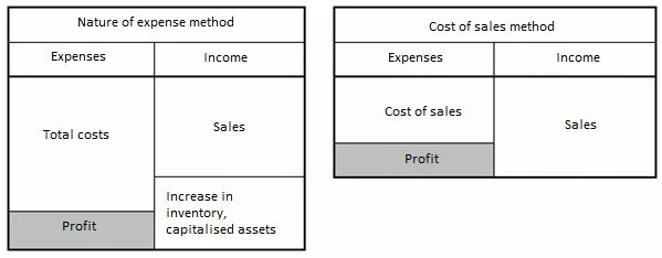 comparison-of-the-nature.of.expense-method-and-the-cost-of-sales-method.jpg